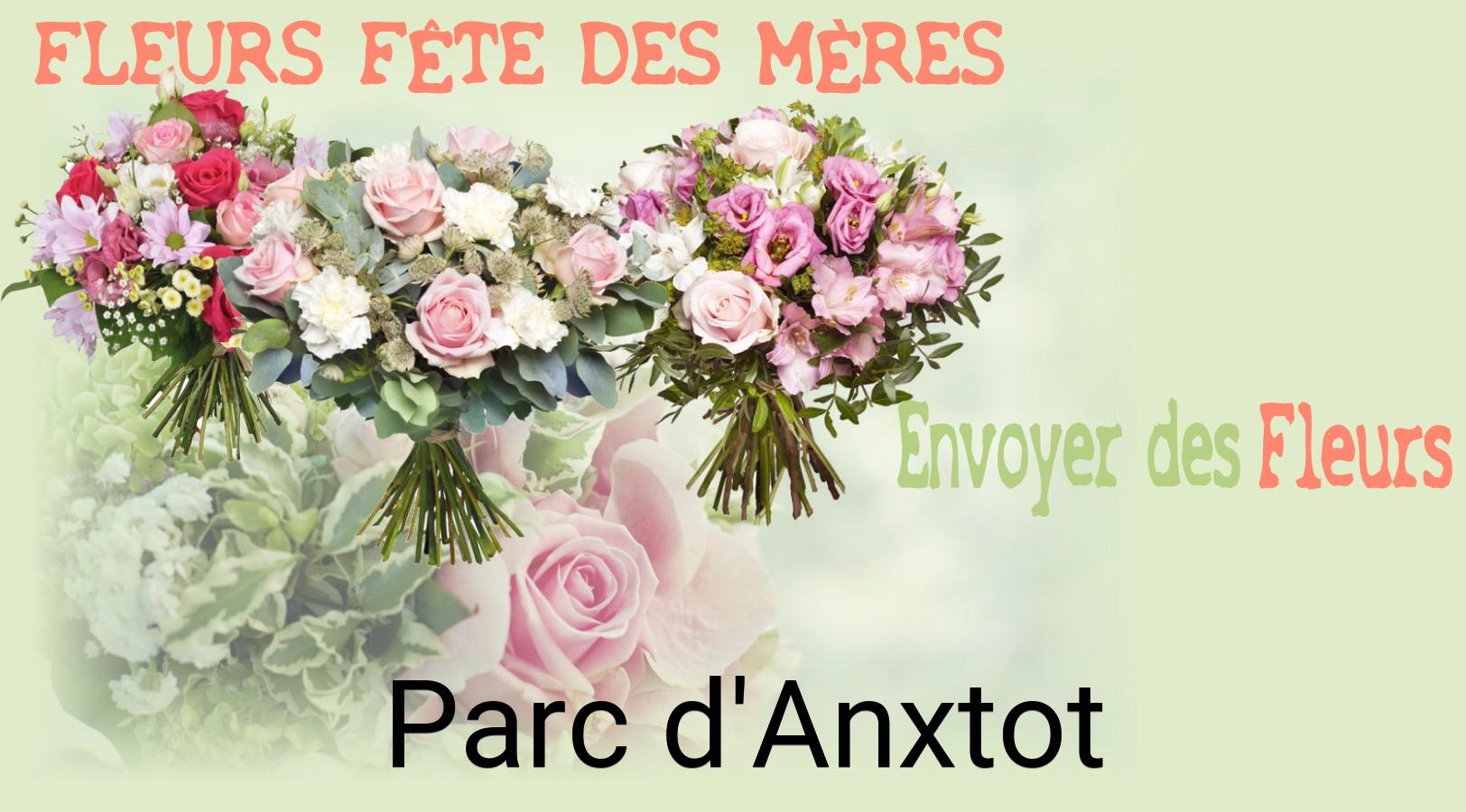 Bouquet de Fête des Mères livré à Parc-d'Anxtot